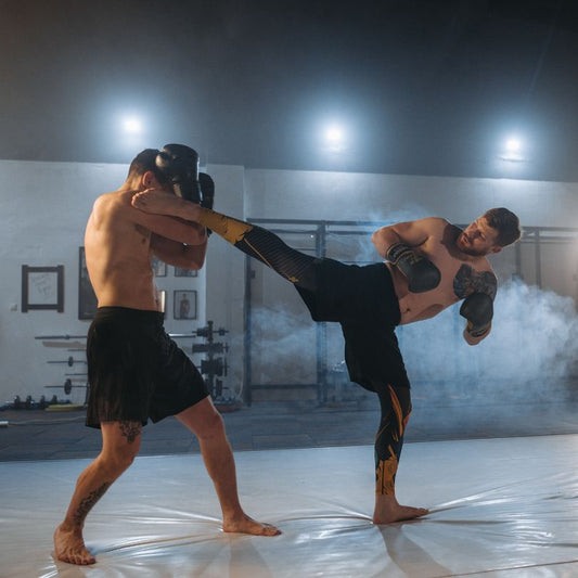 The 8 Best Fighting Styles in MMA: Your Ultimate Guide